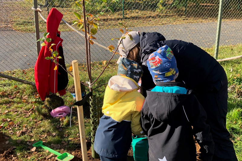 Bilden föreställer barn som planterar ett äppelträd.